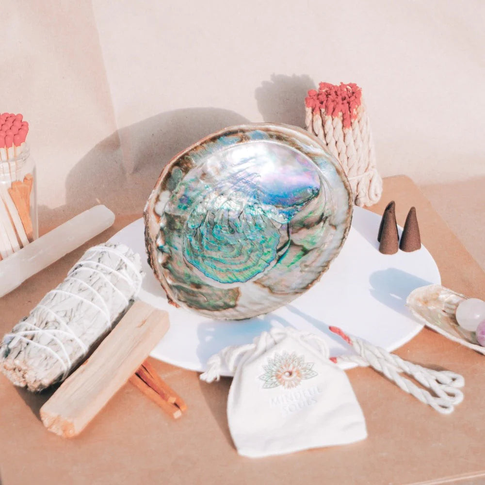 Open Green Abalone Shell